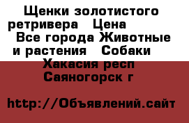 Щенки золотистого ретривера › Цена ­ 15 000 - Все города Животные и растения » Собаки   . Хакасия респ.,Саяногорск г.